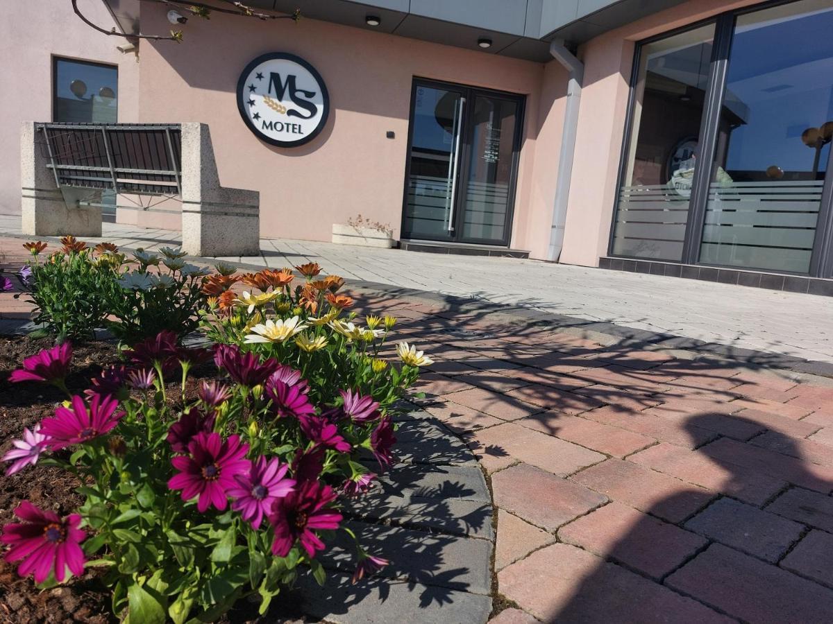 Motel Ms Srpski Itebej Exterior photo